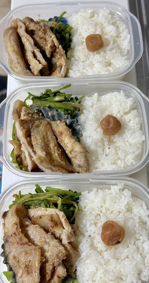 白瀬奈美の写メ日記｜ローテンブルク 吉原高級店ソープ