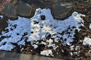 白瀬奈美の写メ日記｜ローテンブルク 吉原高級店ソープ