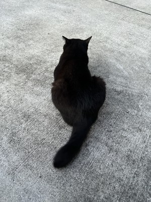 白瀬奈美の写メ日記｜ローテンブルク 吉原高級店ソープ