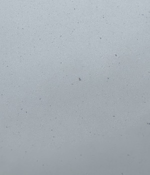 白瀬奈美の写メ日記｜ローテンブルク 吉原高級店ソープ