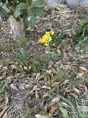 白瀬奈美の写メ日記｜ローテンブルク 吉原高級店ソープ