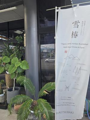 志摩かおるの写メ日記｜ローテンブルク 吉原高級店ソープ