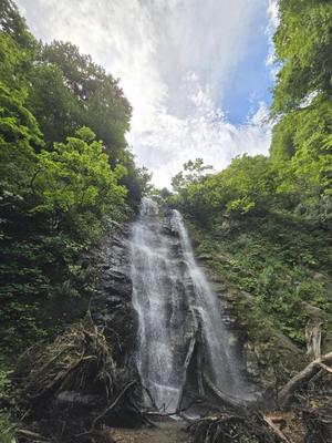 志摩かおるの写メ日記｜ローテンブルク 吉原高級店ソープ