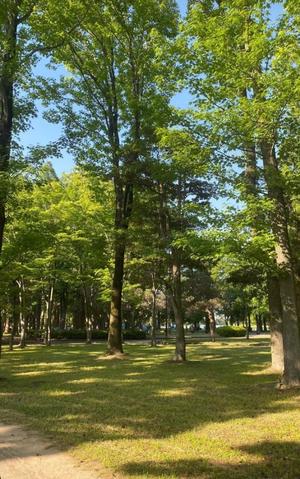土屋まなみの写メ日記|ローテンブルク 吉原高級店ソープ