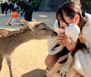 水愛の写メ日記｜セグレターリオ 吉原高級店ソープ