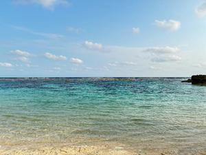 あずさの写メ日記｜セグレターリオ 吉原高級店ソープ