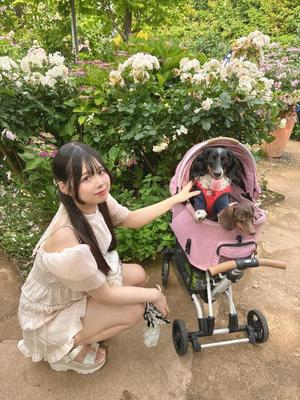 あずさの写メ日記|セグレターリオ 吉原高級店ソープ