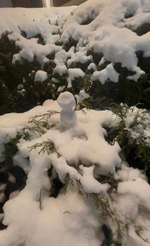 優衣の写メ日記｜セグレターリオ 吉原高級店ソープ