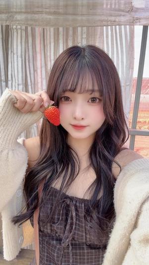 ひめの写メ日記｜セグレターリオ 吉原高級店ソープ