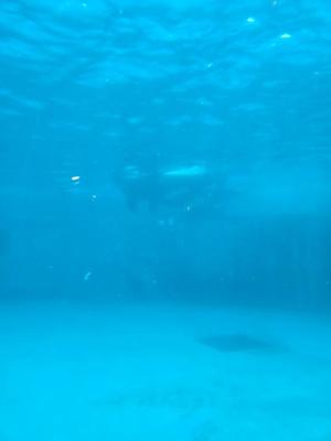 水瀬 ゆきの写メ日記｜セグレターリオ 吉原高級店ソープ