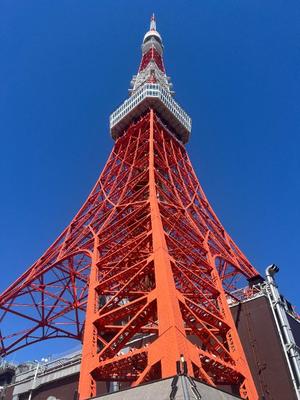 ひめかの写メ日記|セグレターリオ 吉原高級店ソープ