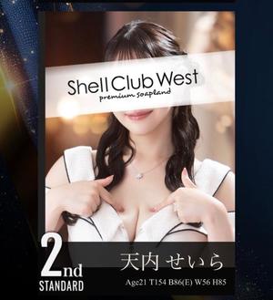 天内 せいらの写メ日記|シェルクラブ・ウエスト 吉原高級店ソープ