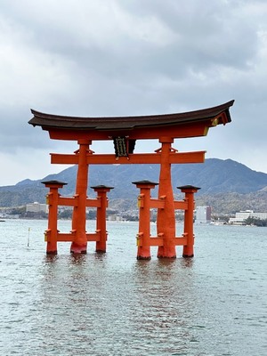 いおりの写メ日記｜スカイ 吉原高級店ソープ