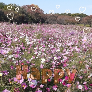 さちの写メ日記｜スカイ 吉原高級店ソープ