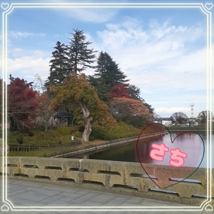 さちの写メ日記｜スカイ 吉原高級店ソープ