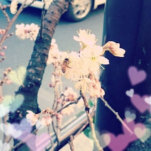 さちの写メ日記｜スカイ 吉原高級店ソープ