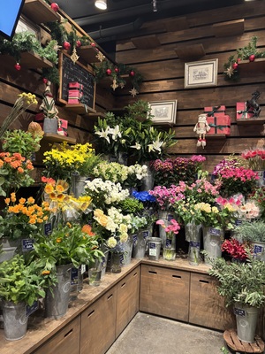 しおん☆の写メ日記｜粋美 吉原高級店ソープ