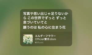 Shihoの写メ日記｜リッチ～THE RICH～ 吉原高級店ソープ