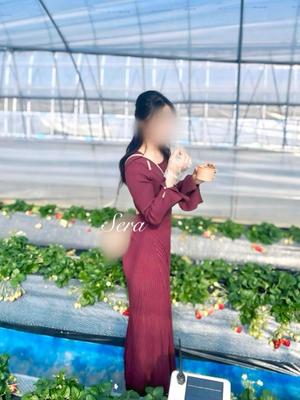 Seraの写メ日記｜リッチ～THE RICH～ 吉原高級店ソープ