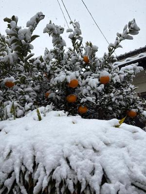 Amuの写メ日記｜リッチ～THE RICH～ 吉原高級店ソープ