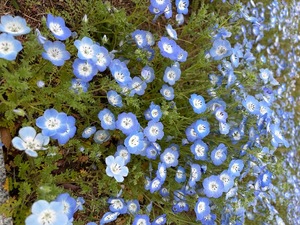 Amuの写メ日記｜リッチ～THE RICH～ 千葉県・栄町高級店ソープ