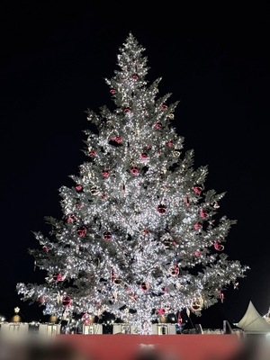 Mayuの写メ日記｜リッチ～THE RICH～ 千葉県・栄町高級店ソープ