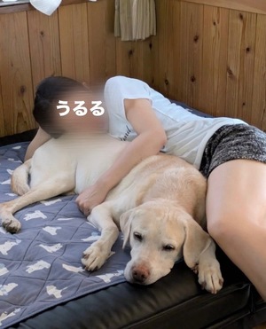 Ururuの写メ日記｜リッチ～THE RICH～ 吉原高級店ソープ