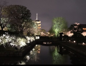 Marikaの写メ日記｜リッチ～THE RICH～ 吉原高級店ソープ