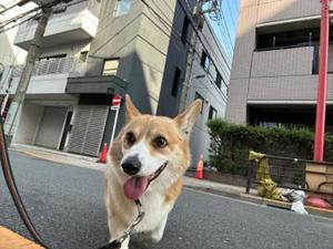 さくらの写メ日記｜ティアラ 吉原高級店ソープ