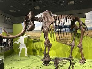 らぶの写メ日記｜ティアラ 吉原高級店ソープ