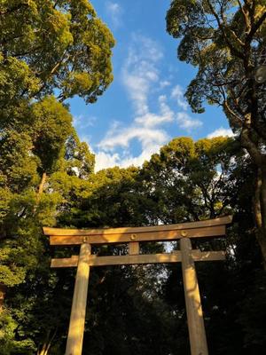 菅野の写メ日記｜ティアラ 吉原高級店ソープ