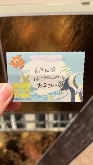 ことりの写メ日記|TOKYO BUNNYS CLUB 吉原高級店ソープ