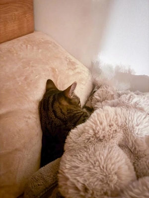 るかの写メ日記｜TOKYO BUNNYS CLUB 吉原高級店ソープ