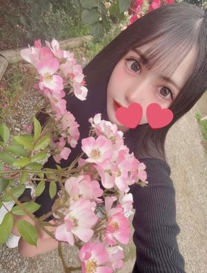 みれいの写メ日記｜ヴェルサイユ 吉原高級店ソープ
