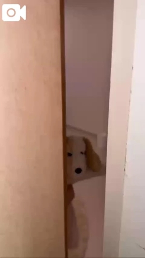 もえの写メ日記|ヴェルサイユ 吉原高級店ソープ