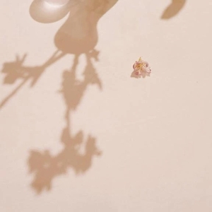 林田はなの写メ日記|ヴェルサイユ 吉原高級店ソープ