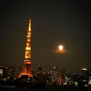 林田はなの写メ日記｜ヴェルサイユ 吉原高級店ソープ