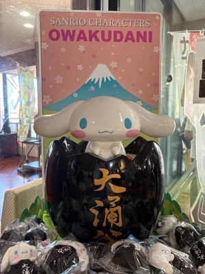 あんなの写メ日記｜ヴェルサイユ 吉原高級店ソープ