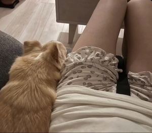 ルナの写メ日記｜ヴェルサイユ 吉原高級店ソープ