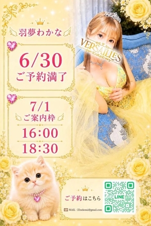 羽夢（はむ）わかなの写メ日記｜ヴェルサイユ 吉原高級店ソープ
