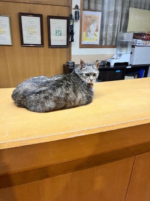 みずさの写メ日記｜ヴェルサイユ 吉原高級店ソープ