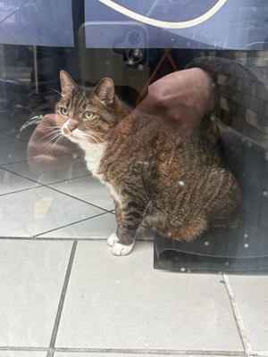 咲良の写メ日記｜ヴェルサイユ 吉原高級店ソープ