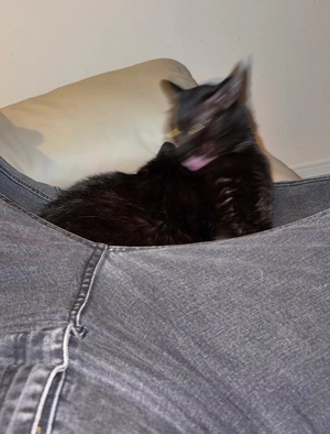 咲良の写メ日記｜ヴェルサイユ 吉原高級店ソープ