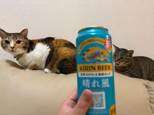 咲良の写メ日記｜ヴェルサイユ 吉原高級店ソープ
