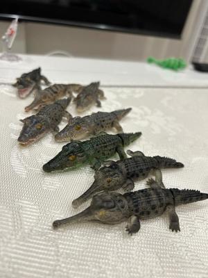 かれんの写メ日記｜鹿鳴館 吉原高級店ソープ