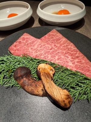 かれんの写メ日記｜鹿鳴館 吉原高級店ソープ