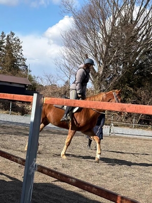 かれんの写メ日記｜鹿鳴館 吉原高級店ソープ