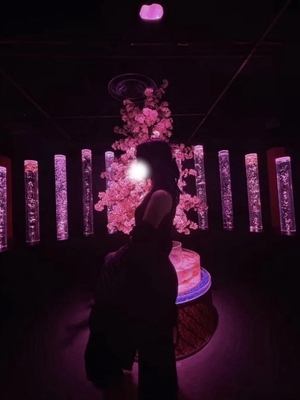 つきほの写メ日記｜鹿鳴館 吉原高級店ソープ