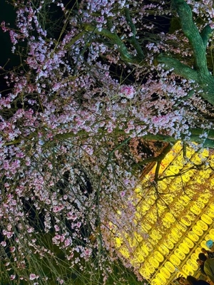 舞子の写メ日記｜鹿鳴館 吉原高級店ソープ